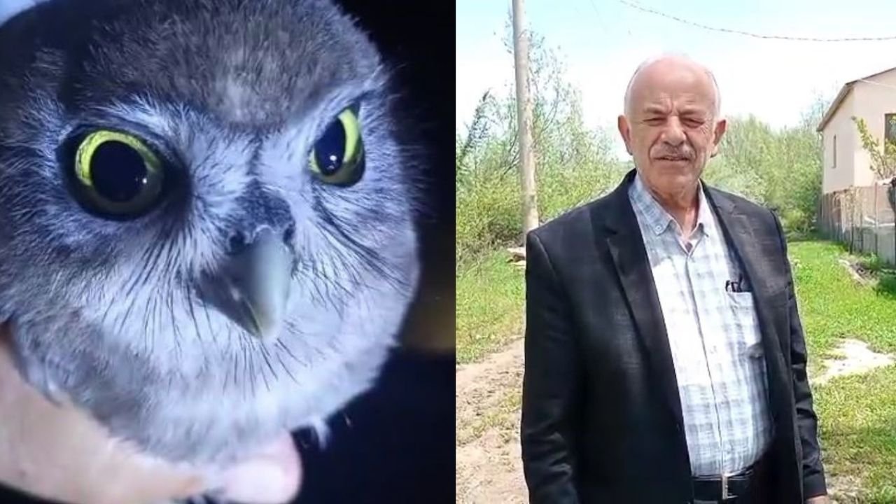 Yolda Baykuşla Karşılaştı, Sohbeti Yürek Isıttı