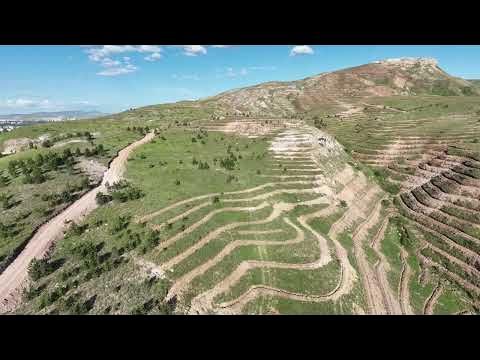 SİVAS'A TÜRKİYE YÜZYILI ORMANI KURULUYOR