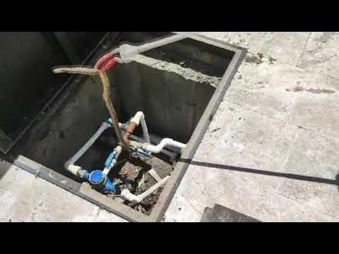 CAMİDE YILAN PANİĞİ