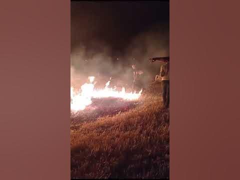 Sivas Kangal'da Tarla Yangını