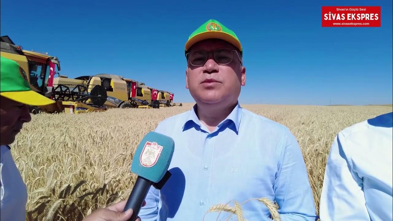 Trikale’de Rekor Bekleniyor