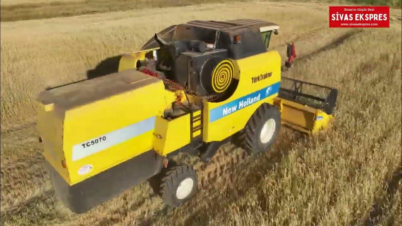 Sivas'ta Habeş Buğdayı Yaygınlaşacak