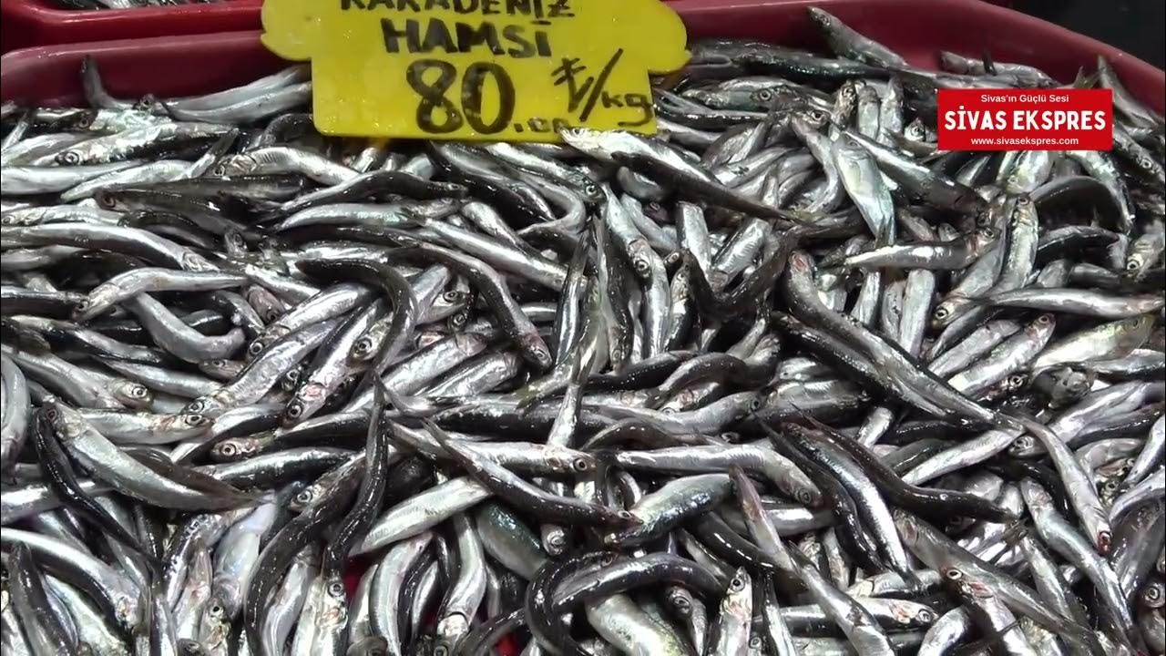 Balık Tezgahında Hamsi Bolluğu