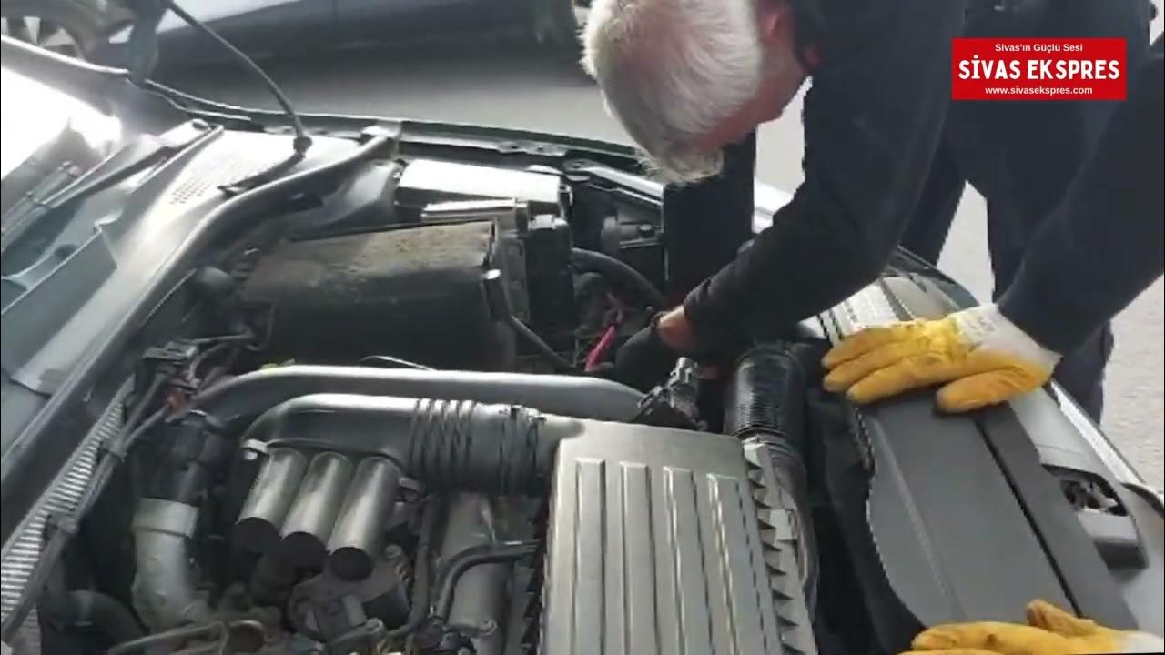 Sivas'ta Kedi Operasyonu