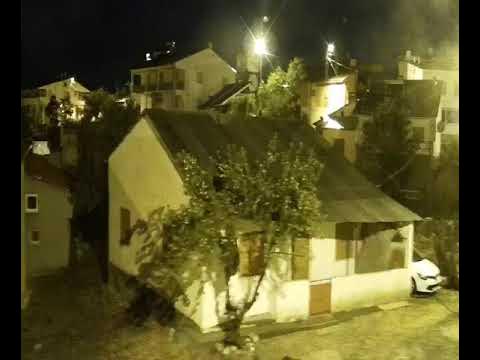 Sivas’ta Aç Kalan Ayılar Köyde Tırmandıkları Ağaçta Meyve Yedi