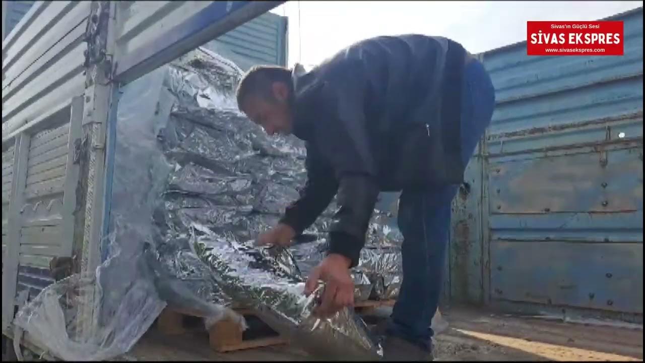 Getir Can Dostlarına  Can Oldu