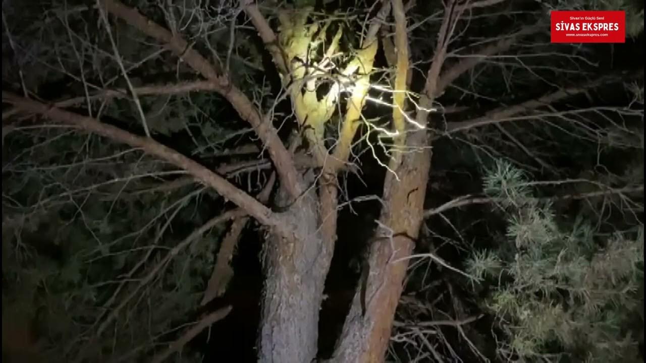 Sivas İtfaiyesinin Yapamadığını Vatandaş Yaptı