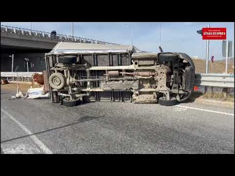 Hayvan yüklü Kamyonet Devrildi, Hayvanlar Yola Saçıldı