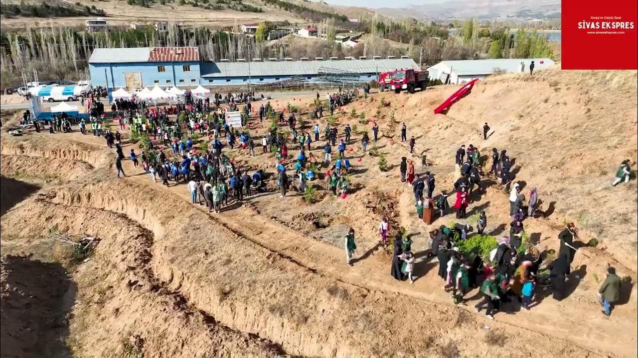 Sivas'ta Fidanlar Toprakla Buluşturuldu