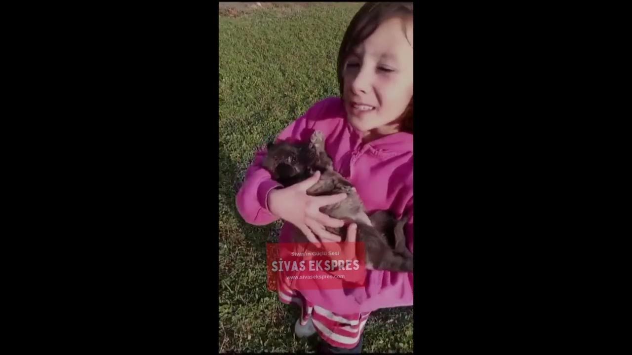 Yavru Köpeğe Ninni Söylediler