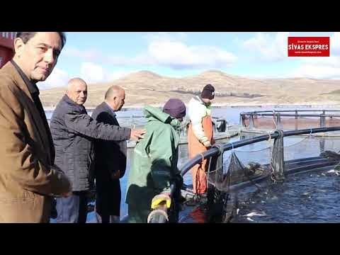 Yılda 500 Ton Balık Üretiliyor