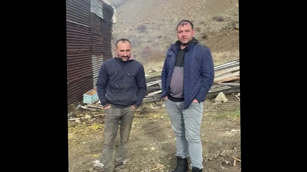 Sivas'ta Ayı Kovanları Parçaladı