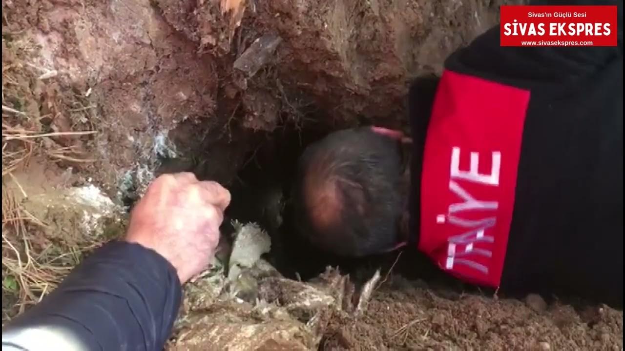 Sivas’ta Kuyuya Düşen Minik Köpek Kurtarıldı