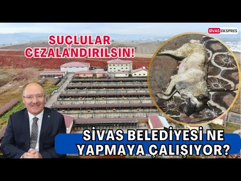 Sivas Belediyesi Ne Yapmaya Çalışıyor? #youtube #haberler #haber #gündem #gündemhaberleri