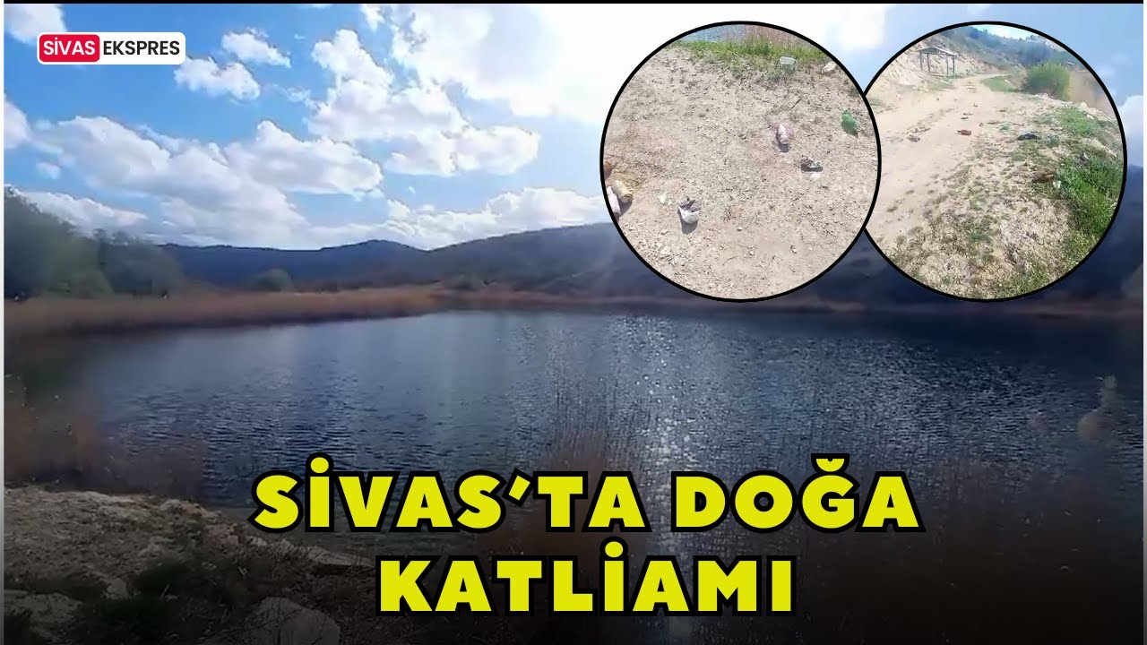 Sivas’ta Doğa Katliamı