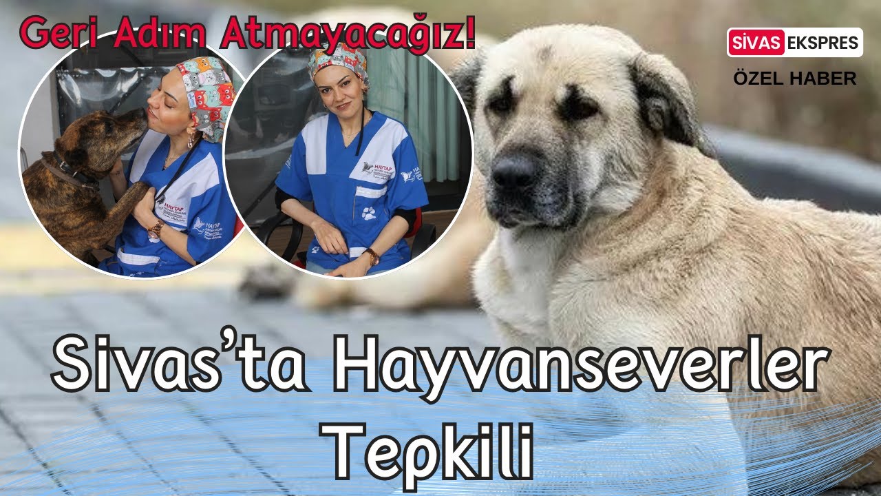 Sivas’ta Hayvanseverler Tepkili!
