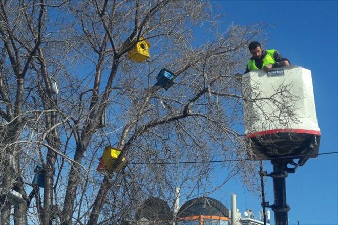 ARTIK ONLARIN DA YUVASI VAR