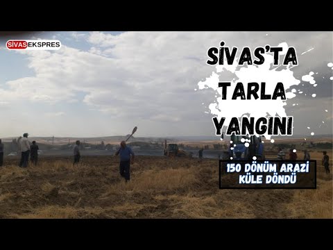 Sivas’ta Tarla Yangını: 150 Dönüm Arazi Küle Döndü