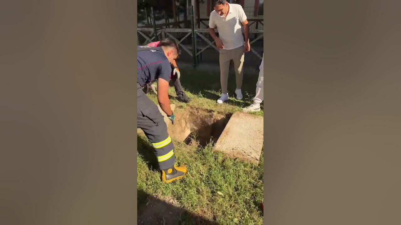 Sivas'ta Tuvalete Düşen Kedi İçin Seferberlik