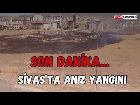 Son Dakika... Sivas’ta Anız Yangını