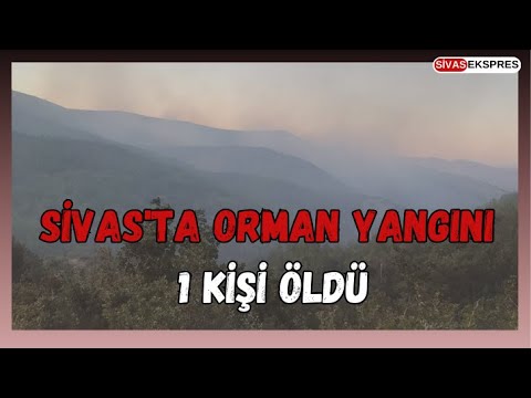 Sivas'ta Orman Yangını: 1 Kişi Öldü