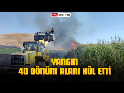 Sivas'ta Yangın 40 Dönüm Alanı Kül Etti
