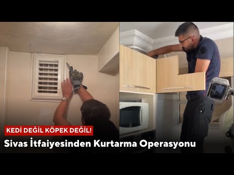 Kedi Değil Köpek Değil! Sivas İtfaiyesinden Kurtarma Operasyonu