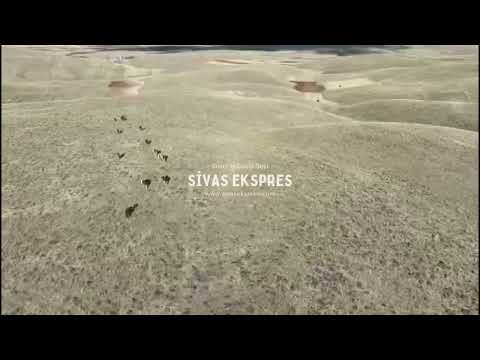 Sivas'ta Kayıp Hayvanlar Drone İle Bulundu
