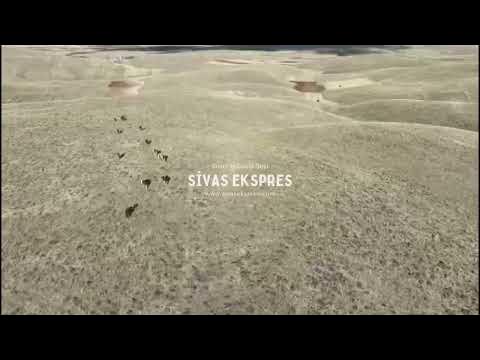 Sivas'ta Kayıp Hayvanlar Drone İle Bulundu
