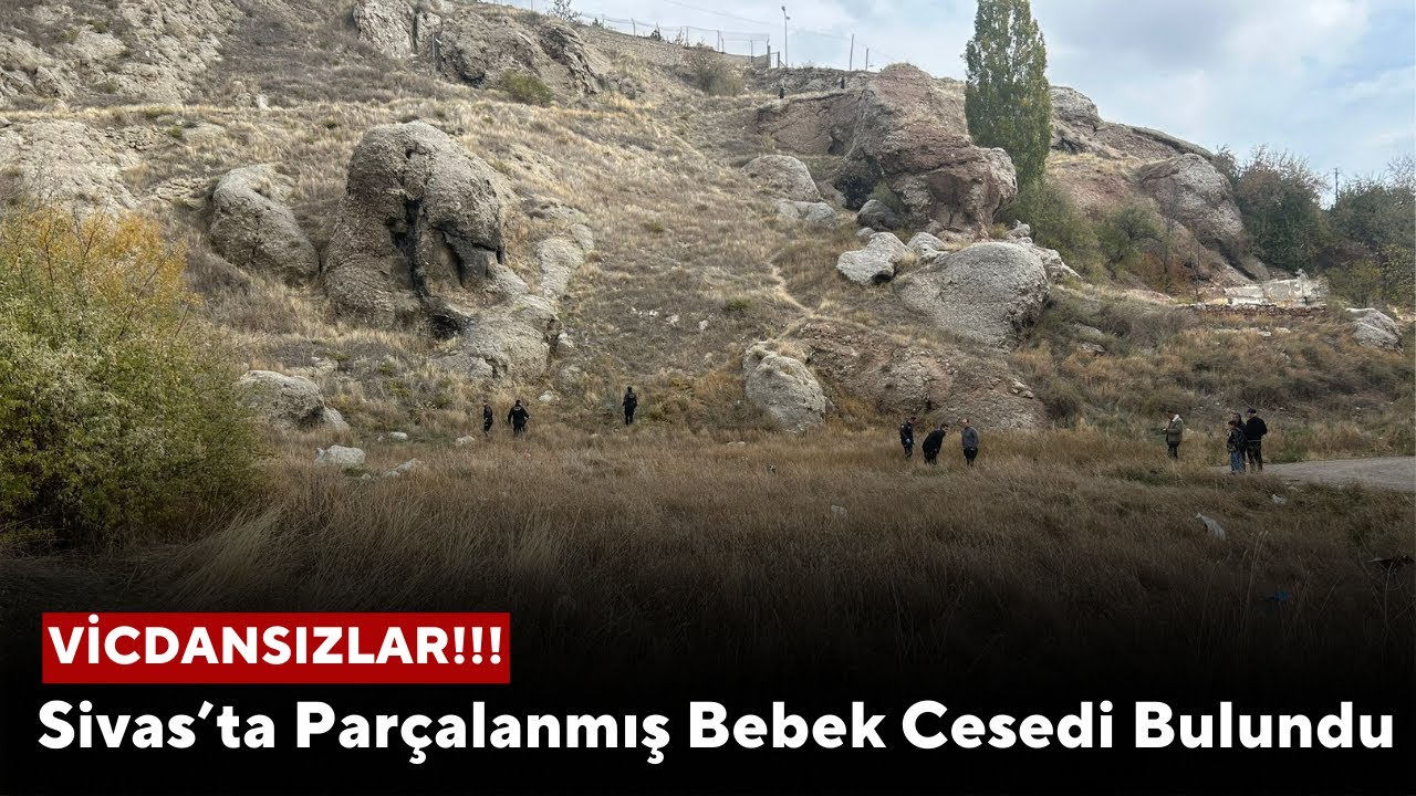 Sivas’ta Parçalanmış Bebek Cesedi Bulundu
