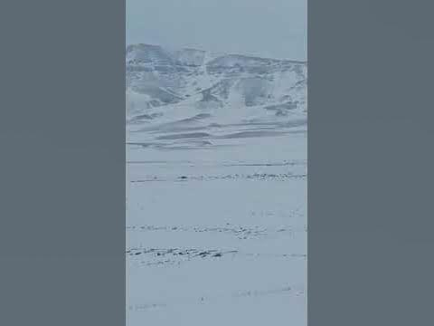 Sivas'ta Çiftçi Perişan! Emekleri Kar Altında Kaldı