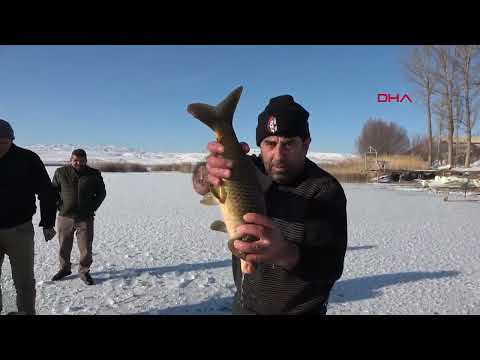 Sivas'ta 'Eskimo' Usulü Balık Avı