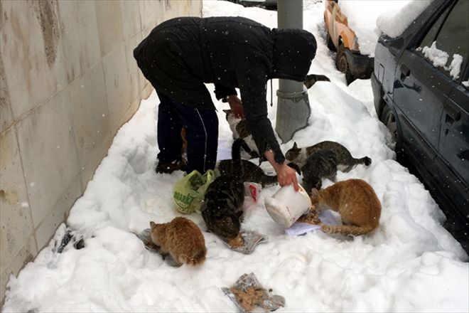 ?SOKAKTAKİ DOSTLARIMIZ AÇ KALMASIN?