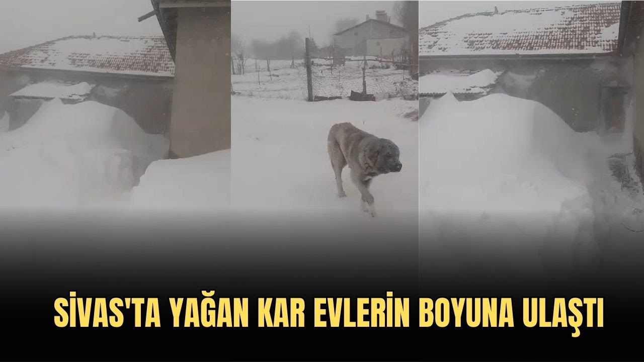 Sivas'ta Yağan Kar Evlerin Boyuna Ulaştı