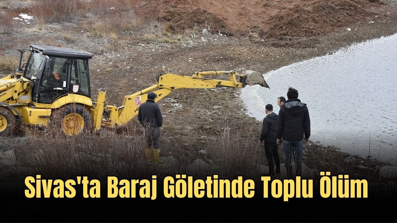 Sivas'ta Baraj Göletinde Toplu Ölüm