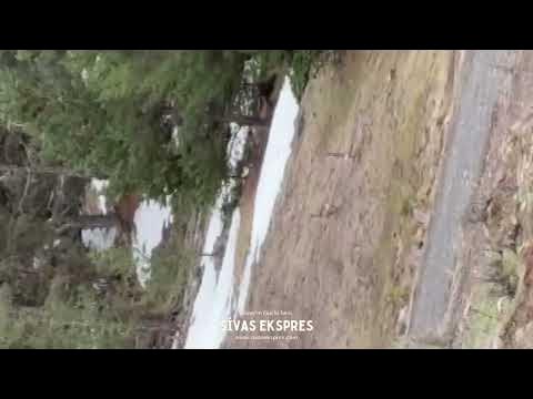 Sevimli Karacalar Sivas'ta Görüntülendi