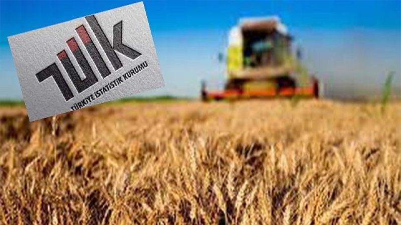 TÜİK açıkladı: Tarım ürünleri üretici fiyatları arttı