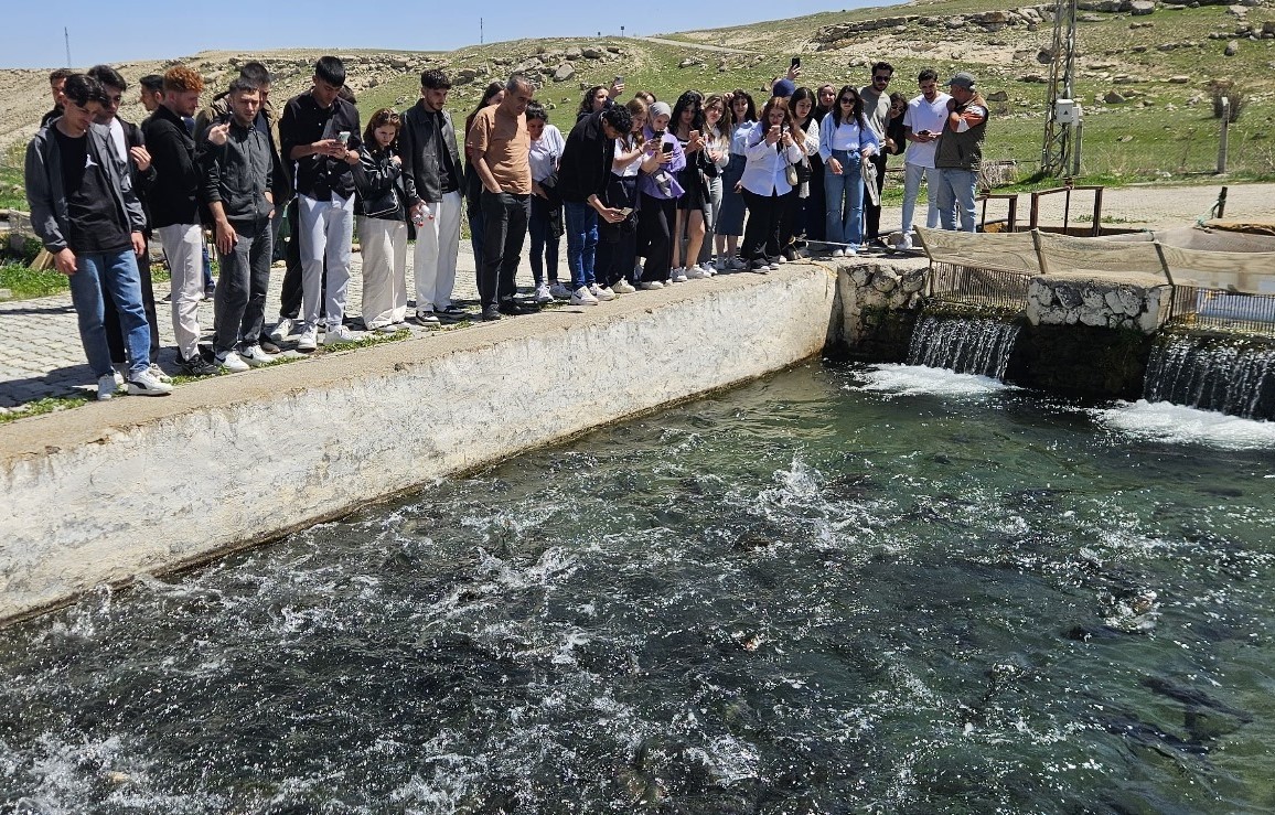 Üniversiteliler Balık Üretimini Yerinde Öğrendi