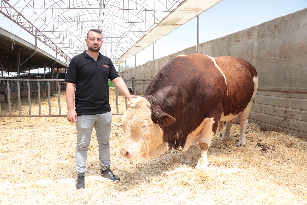 1,5 Tonluk Poyraz Alıcısını Bekliyor