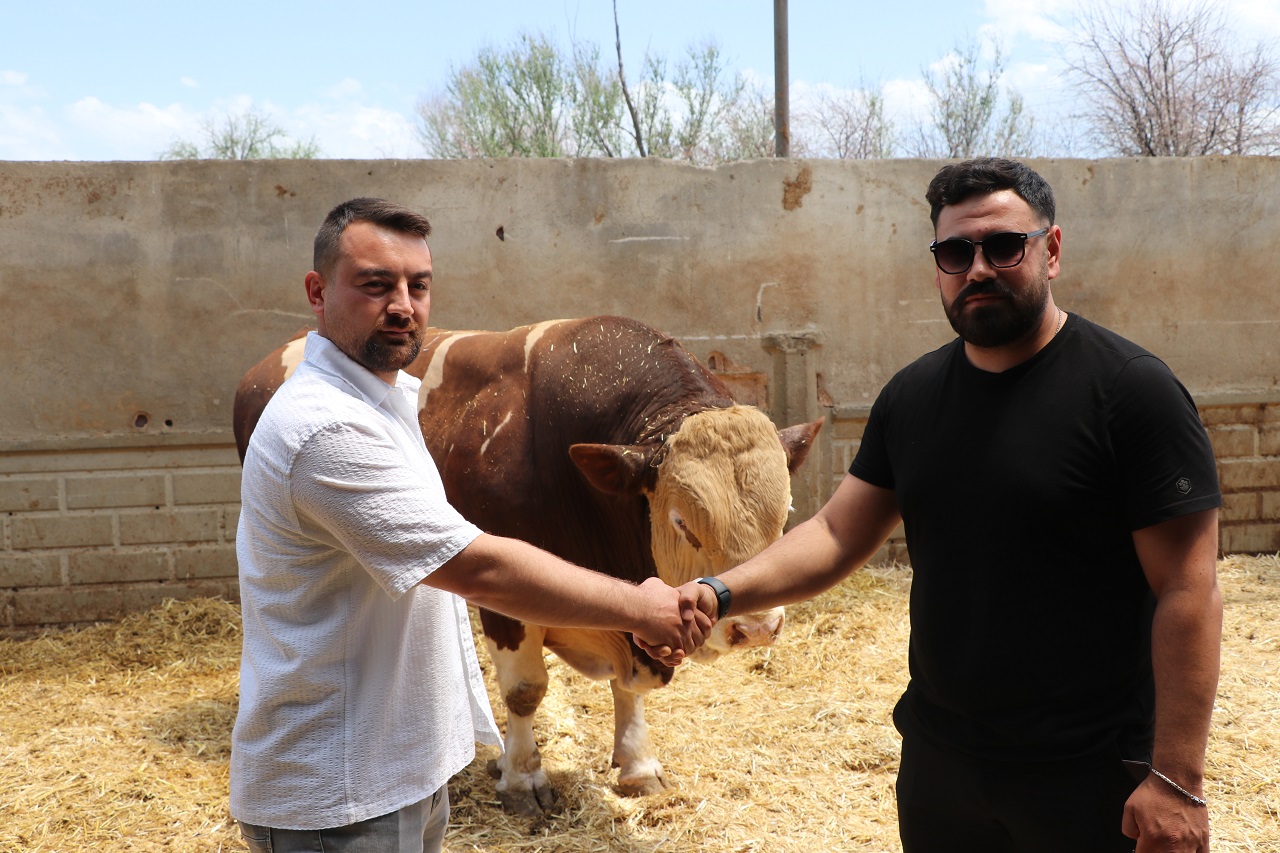 Poyraz', 540 bin TL'ye alıcısını buldu