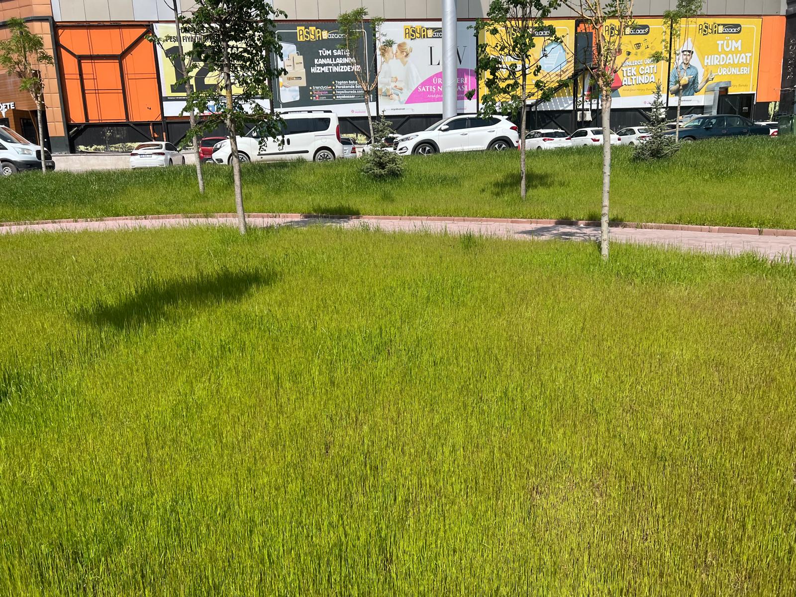 Sivas Belediyesi'ne Yeni Gelir Kapısı