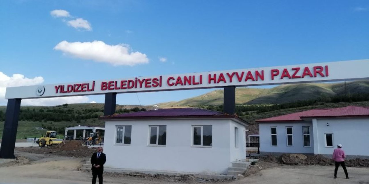 Sivas'ta Hayvan Pazarında Şap Paniği