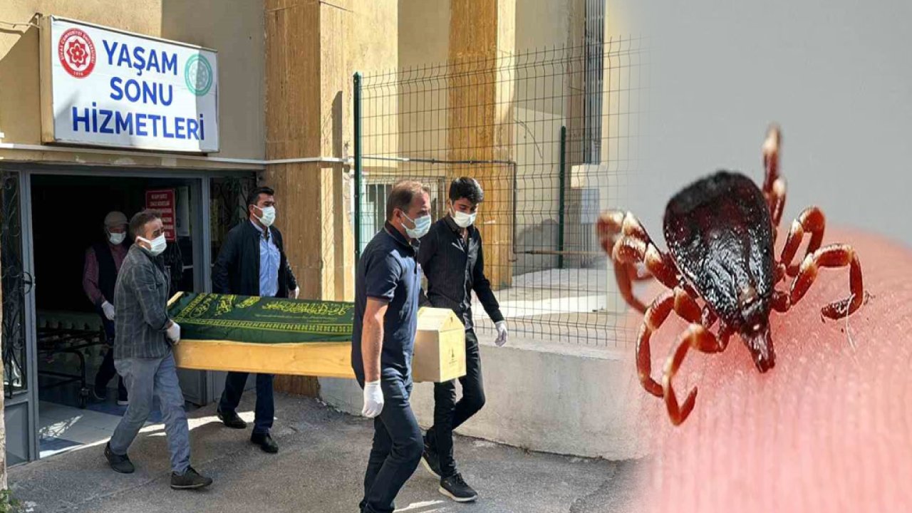 Sivas'ta Yürek Yakan Kene Vakası: Küçük Metehan Yaşamını Yitirdi
