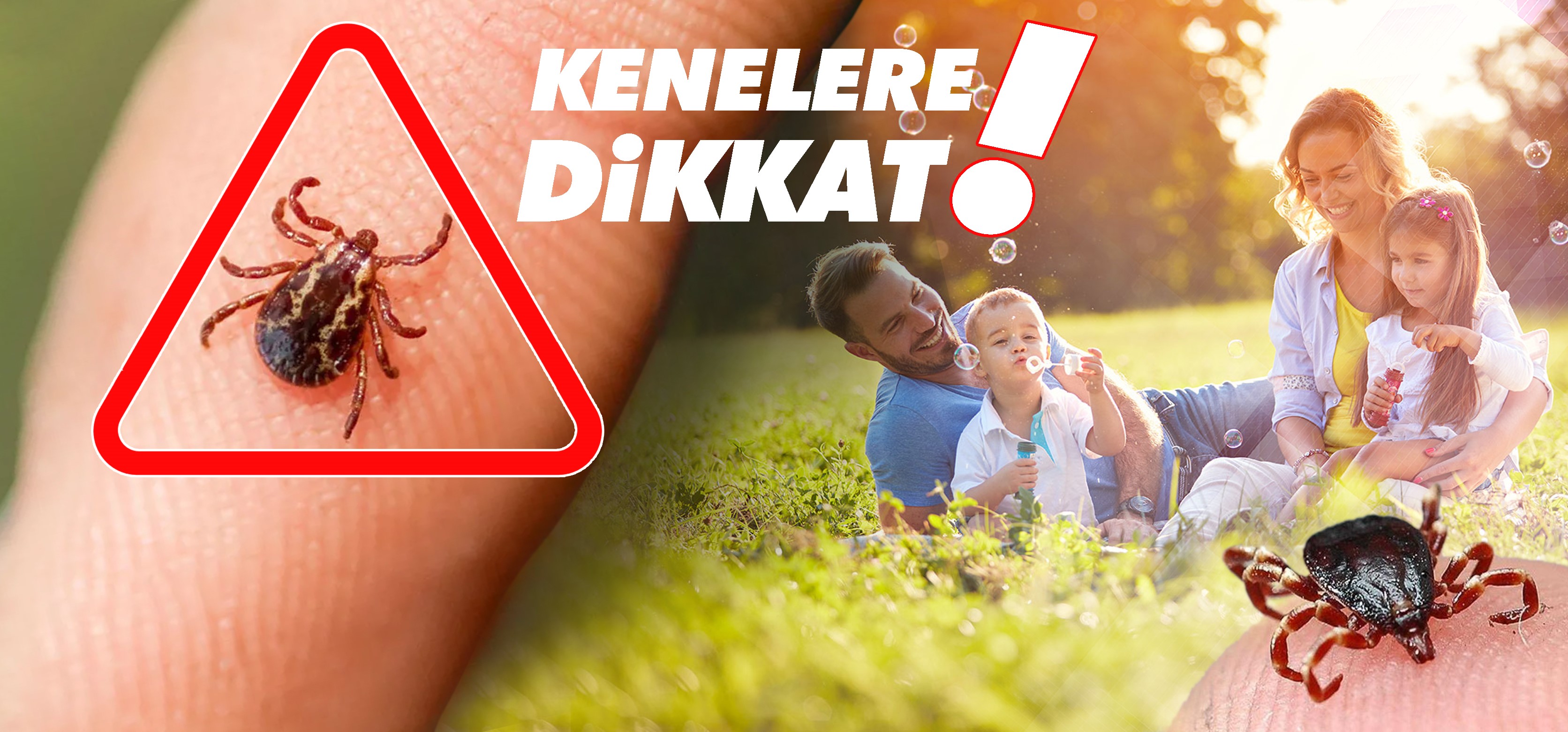 Havaların ısınmasıyla birlikte o risk arttı