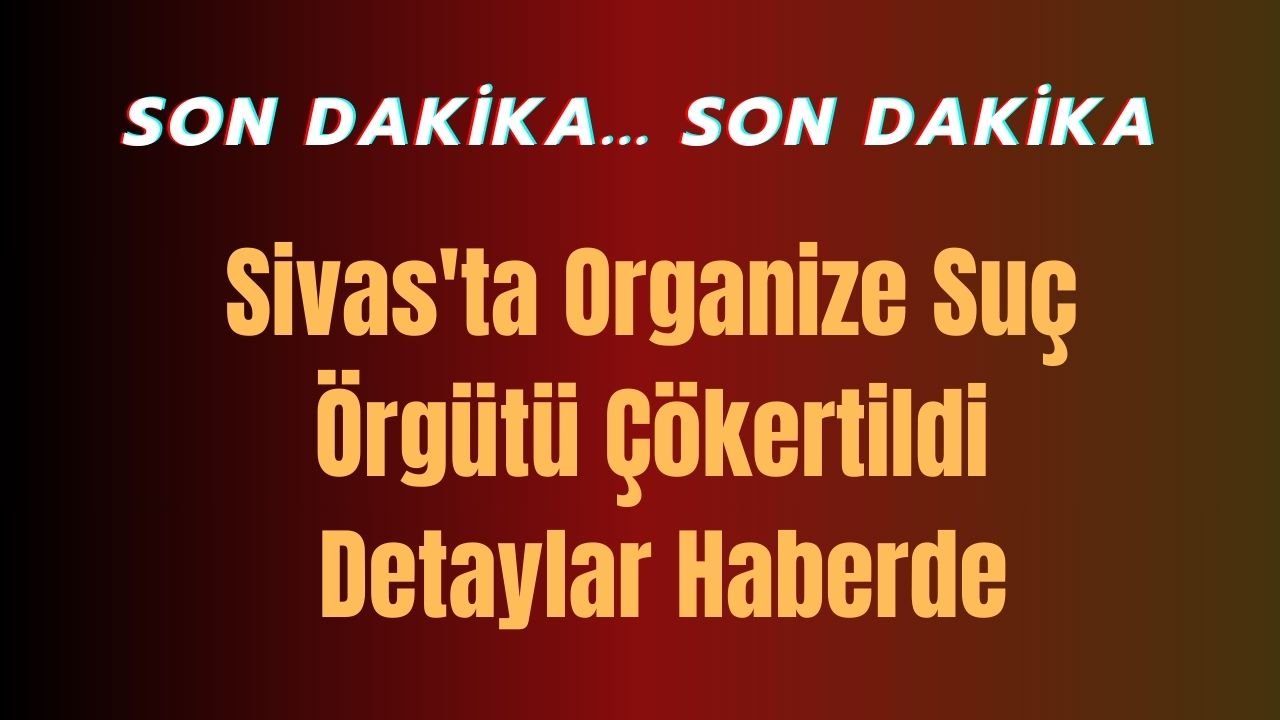 Sivas'ta Organize Suç Örgütü Çökertildi, Detaylar Haberde