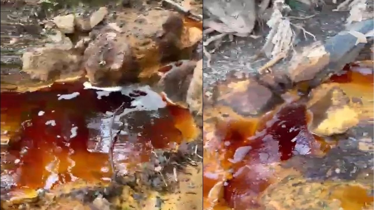 Sivas'ta Dereyi Gören Korktu, Gerçek Daha Da Endişelendirdi