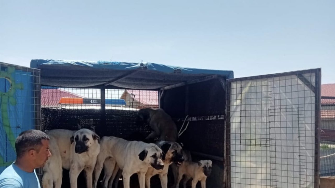 İlçeden Toplatılıyor Merkeze Getiriliyor