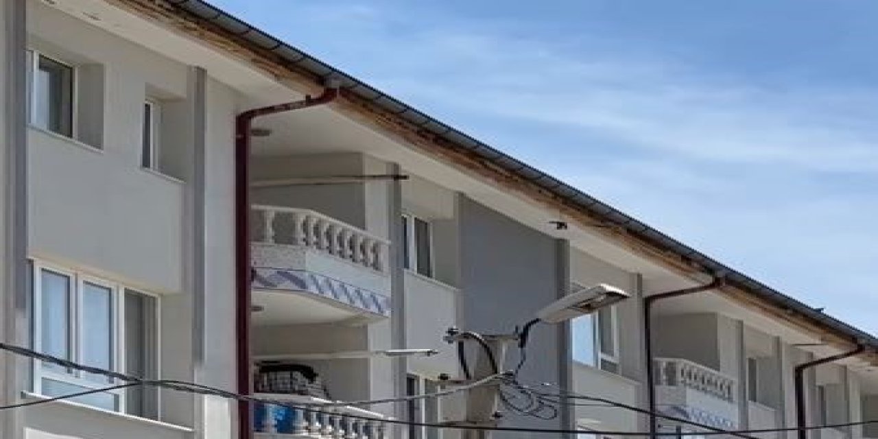 Sivas'ta Kuş Kurtarma Operasyonu