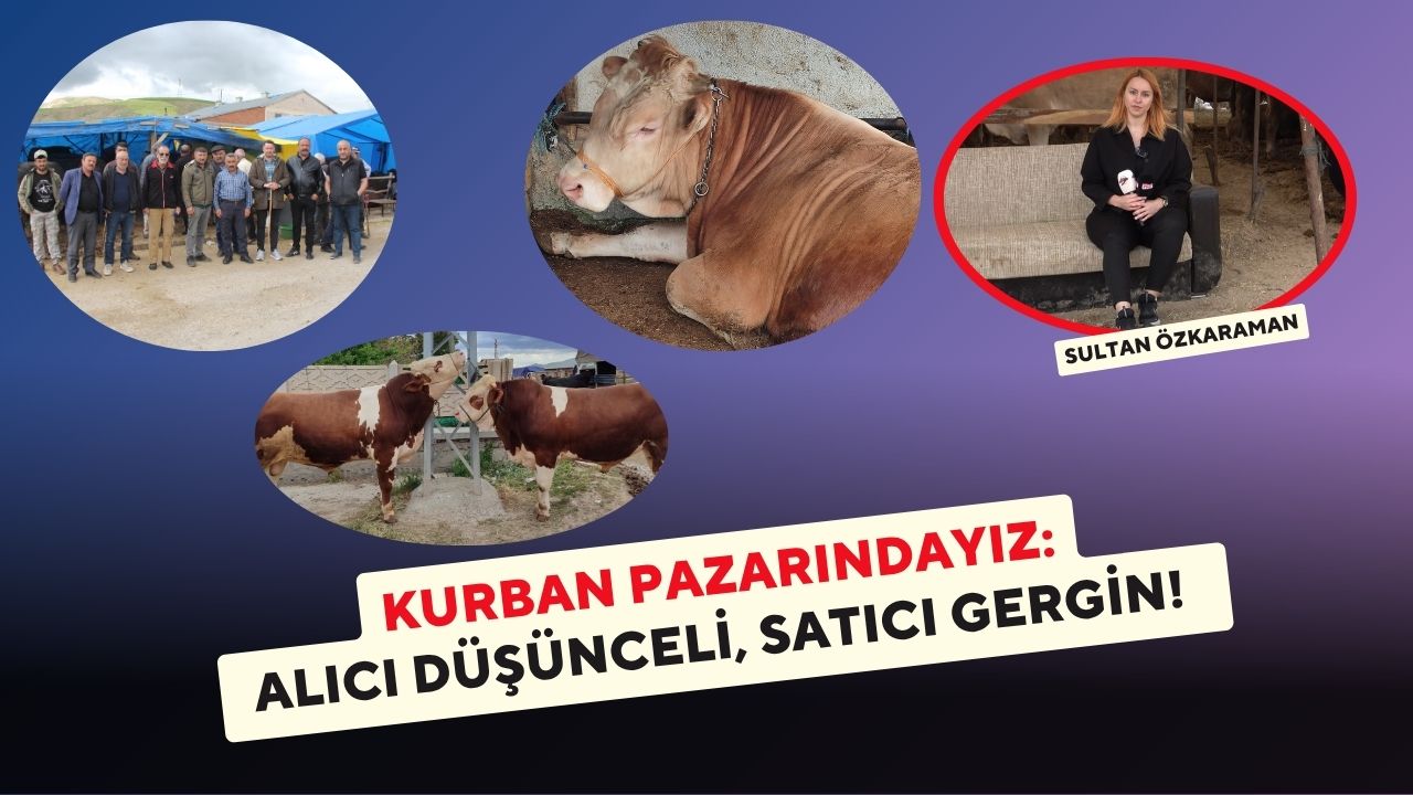 Kurban Pazarındayız: Alıcı Düşünceli, Satıcı Gergin!