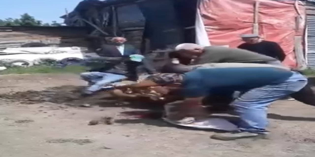 Kurban kesimi sırasında hayvanın hışmına uğradı